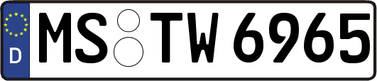 MS-TW6965