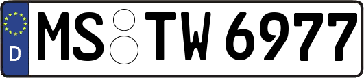 MS-TW6977