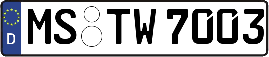 MS-TW7003
