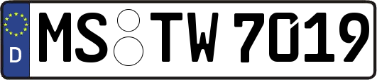 MS-TW7019