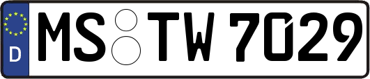 MS-TW7029