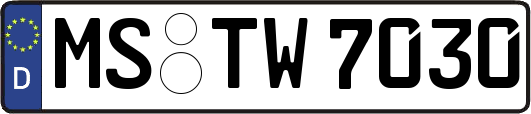MS-TW7030