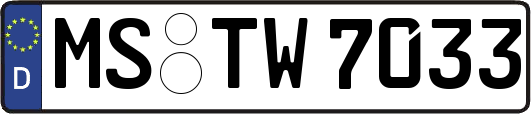MS-TW7033