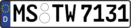 MS-TW7131
