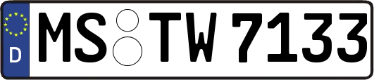 MS-TW7133