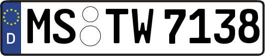 MS-TW7138