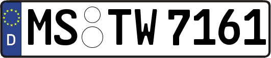 MS-TW7161