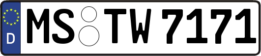 MS-TW7171