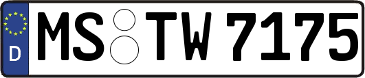 MS-TW7175