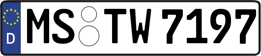 MS-TW7197