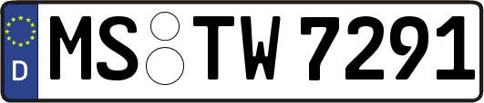 MS-TW7291
