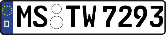 MS-TW7293