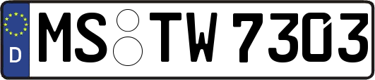 MS-TW7303
