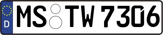 MS-TW7306