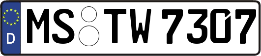 MS-TW7307
