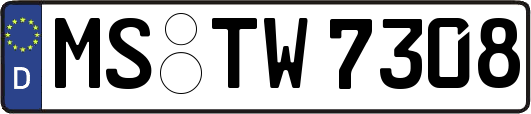 MS-TW7308