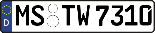 MS-TW7310