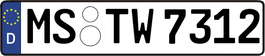 MS-TW7312