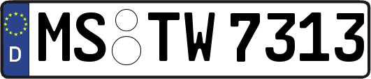 MS-TW7313