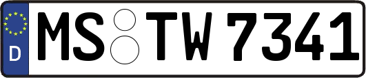 MS-TW7341