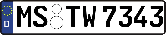 MS-TW7343
