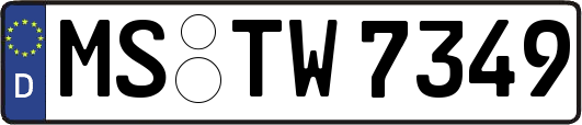 MS-TW7349