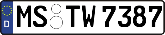 MS-TW7387