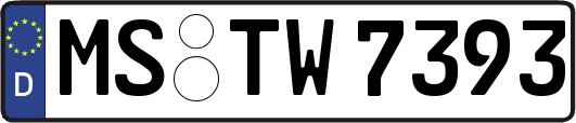 MS-TW7393