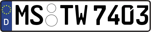 MS-TW7403
