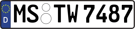 MS-TW7487