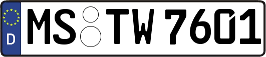 MS-TW7601