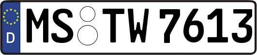 MS-TW7613