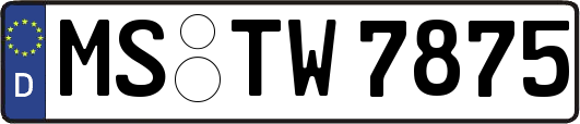 MS-TW7875