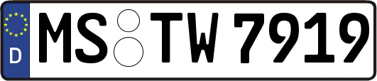 MS-TW7919