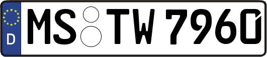 MS-TW7960