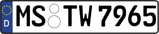 MS-TW7965