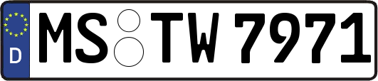 MS-TW7971