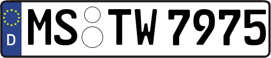 MS-TW7975
