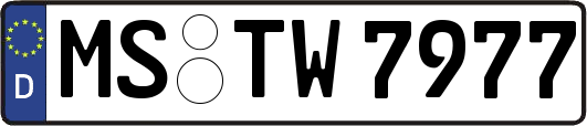 MS-TW7977