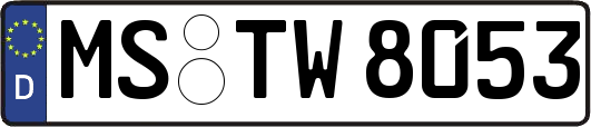 MS-TW8053