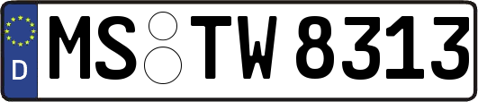 MS-TW8313