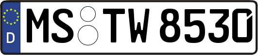 MS-TW8530