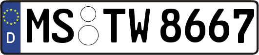 MS-TW8667