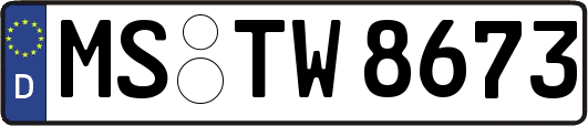 MS-TW8673