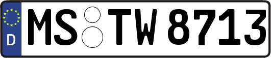 MS-TW8713
