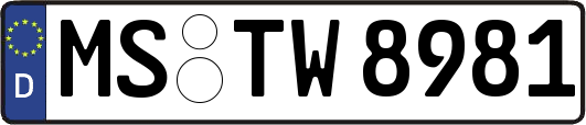 MS-TW8981