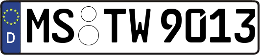 MS-TW9013