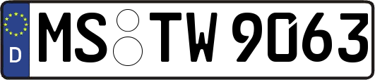 MS-TW9063