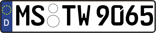 MS-TW9065