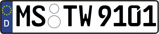MS-TW9101